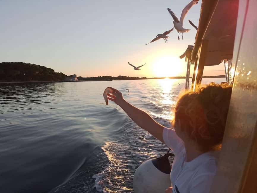 Pula: Brijuni Dolphins Sunset Cruise with Dinner and Drinks - The Arena boat and its three terraces