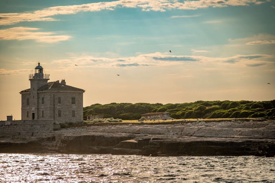 Pula: Brijuni National Park Sunset, Dolphins & Dinner Cruise - Who will enjoy it most?