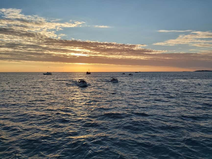 Pula: Dolphin Sunset Cruise to Brijuni with Dinner & Drinks - Reaching the Brijuni dolphin area