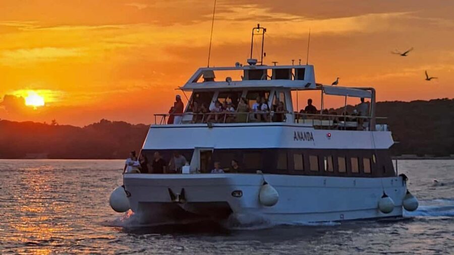 Pula: Dolphin Sunset Cruise to Brijuni with Dinner & Drinks - The Lighting Giants and Uljanik’s evening glow