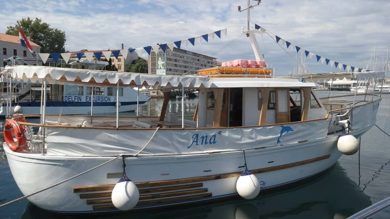 Pula: Dolphin-Watching Cruise at Sunset with Dinner & Drinks - Key points to know before booking