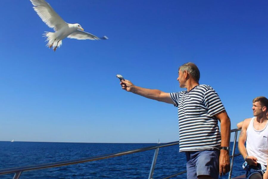Pula: Dolphin Watching Sunset Cruise with Dinner & Drinks - Key things to know before boarding