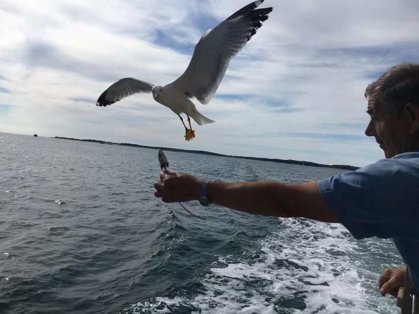 Pula: Dolphin Watching Sunset Cruise with Dinner & Drinks - Leaving Pula harbor with the amphitheater in view