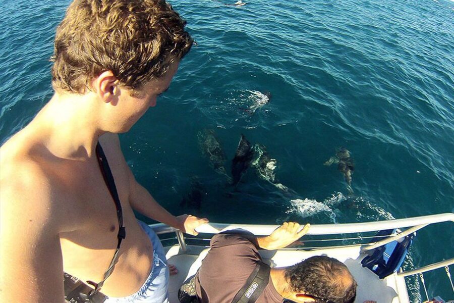 Pula: National Park Brijuni Dolphin Cruise with Dinner - Who will enjoy this cruise most