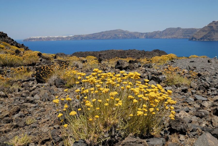 Santorini Caldera: Sunset Cruise with Dinner - Cruising beneath Oia before the sunset