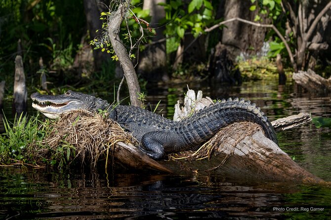 St. Johns River Lunch and Dinner Cruises in Sanford, Florida - Seats, decks, and the best views