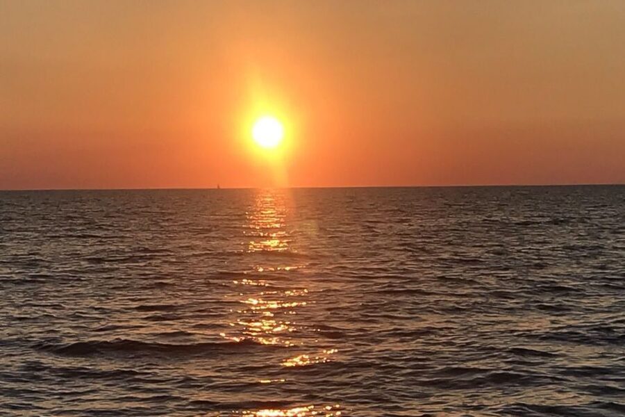 Sunset Dolphin Cruise with Dinner – Medulin Archipelago - Who will enjoy this cruise most