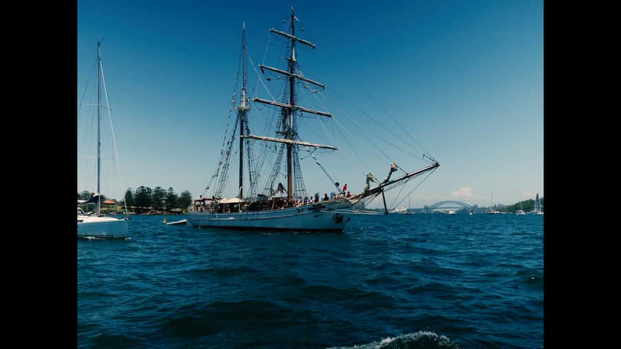 Sydney: Harbor Sunset Cruise with Dinner - Key points at a glance