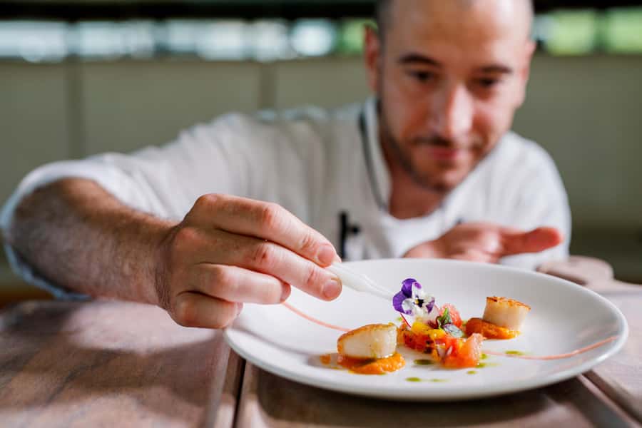 Sydney: Harbour Dinner Cruise with 3, 4 or 6-Course Menu - Sunset, twilight, or city lights?