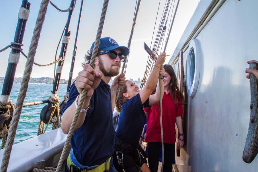 Sydney: Tall Ship Harbour Twilight Dinner Cruise - Should you book the Sydney tall-ship dinner cruise?
