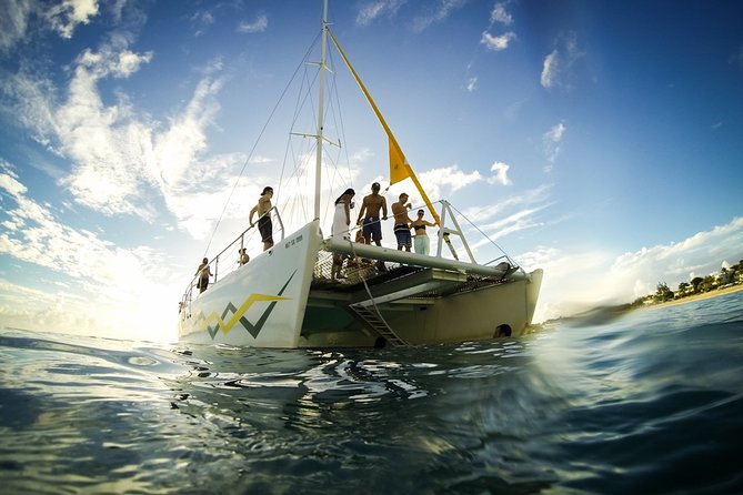 Tango Caribbean Dinner Cruise - Dessert, rum, and Caribbean music