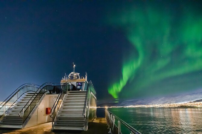 Tromso Aurora Cruise with 3-Course Dinner - Key points to know before boarding