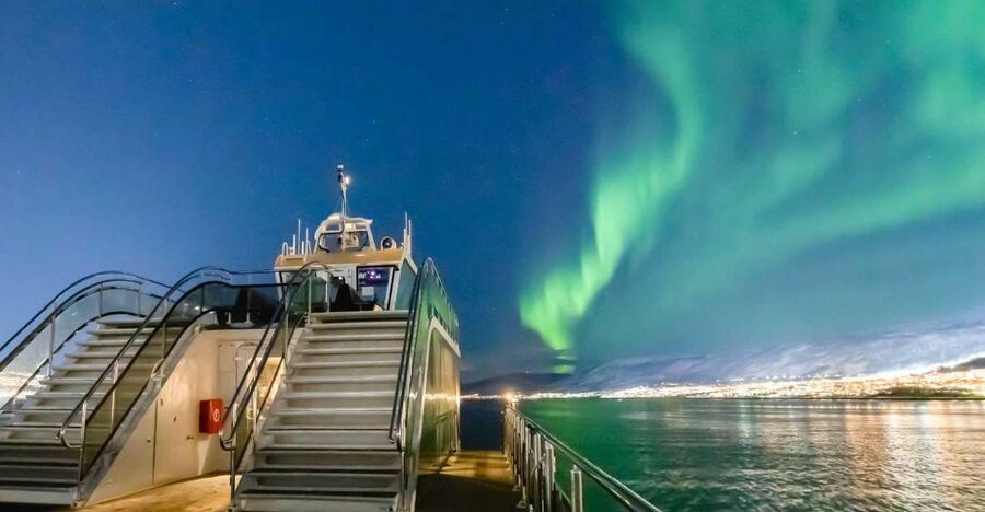 Tromsø: Aurora Dinner Cruise by Hybrid-Electric Catamaran - Six things to know before you book