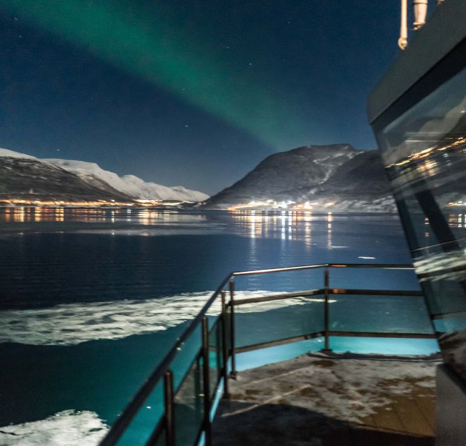 Tromsø: Aurora Dinner Cruise by Hybrid-Electric Catamaran - Should you book the Aurora Dinner Cruise?