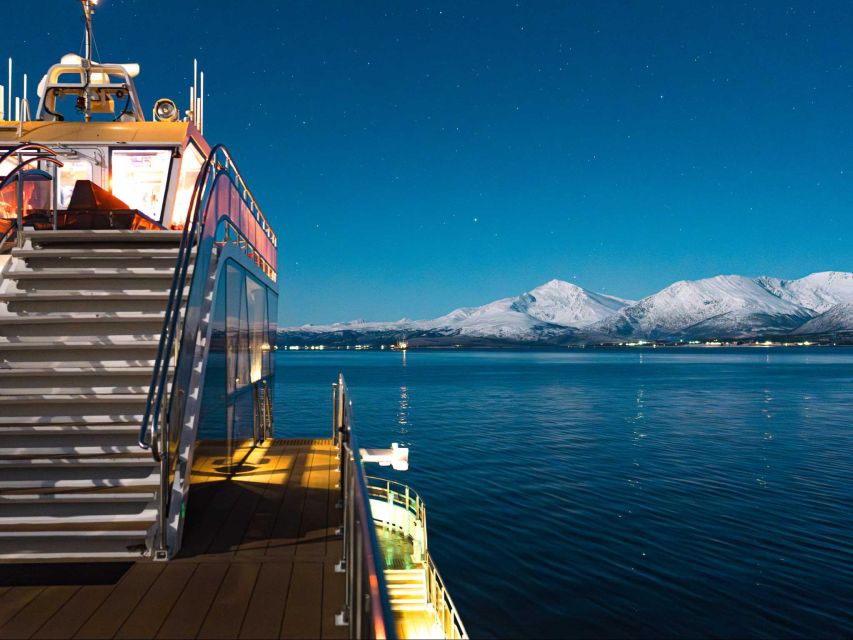 Tromsø: Aurora Dinner Cruise by Hybrid-Electric Catamaran - A quiet catamaran with Tromsø views