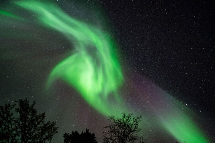 Tromsø: Evening Aurora Cruise (dinner optional) - The details that matter most