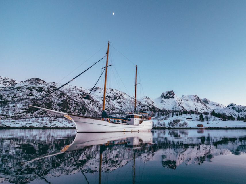 Tromso: Luxury Northern Lights Cruise with Hot Tub & Dinner - Service from Captain Kenneth and Sachi