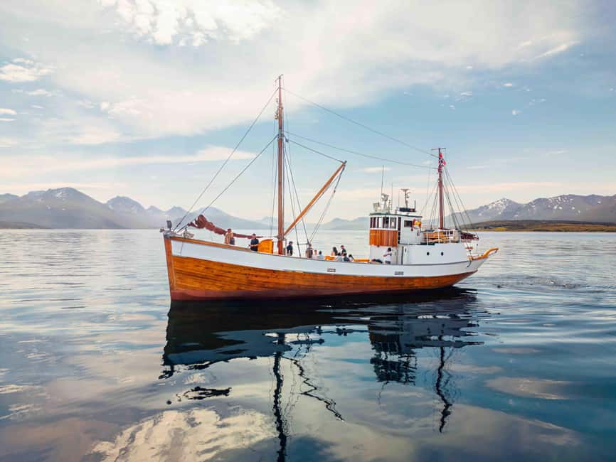 Tromsø: Northern Lights Dinner Cruise - Key details before you book