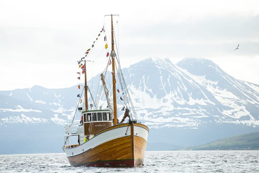 Tromsø: Northern Lights Dinner Cruise - Warm indoor spaces and cold-weather planning