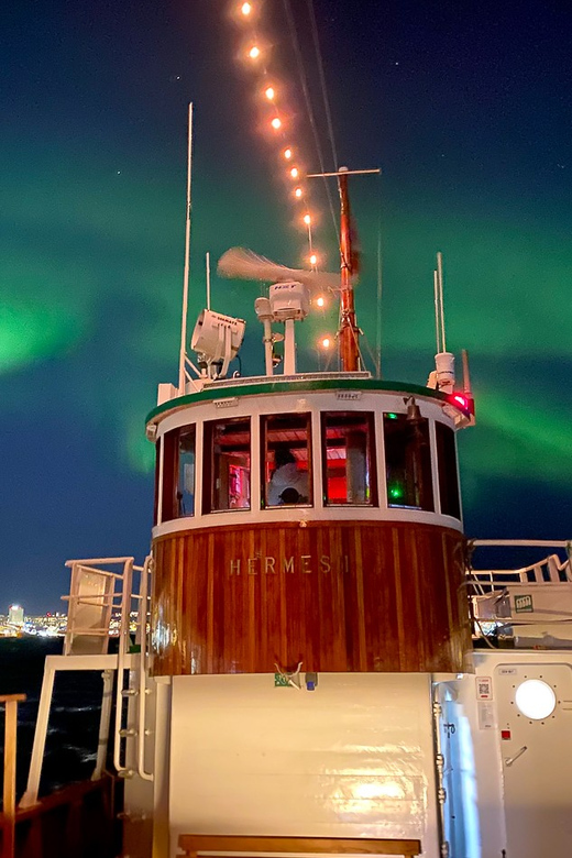 Tromsø: Northern Lights Dinner Cruise - A northern meal from Dragøy