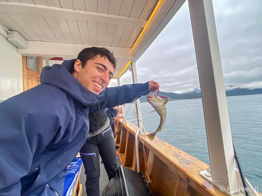 Tromsø: Northern Lights Dinner Cruise - What the three hours feel like