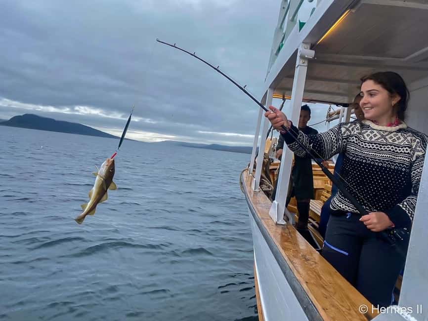Tromsø: Northern Lights Dinner Cruise - Is $198 a fair price?