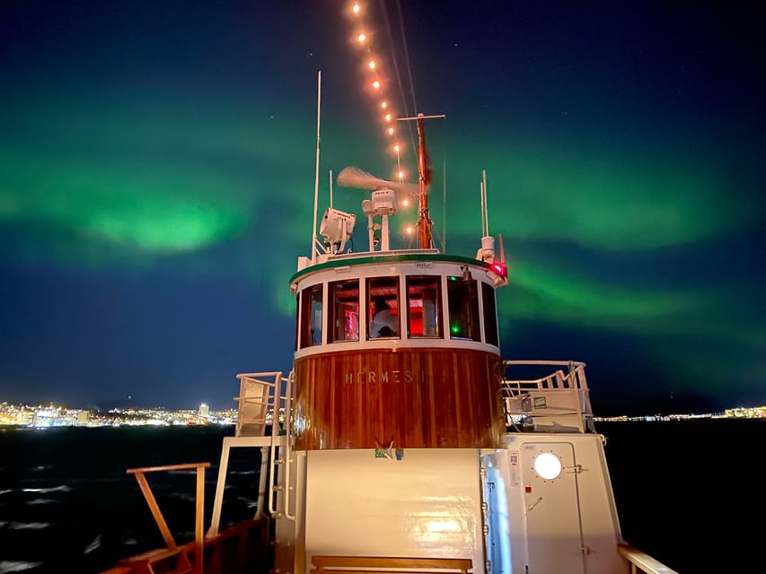 Tromsø: Northern Lights Dinner Cruise - Who will enjoy this cruise most?