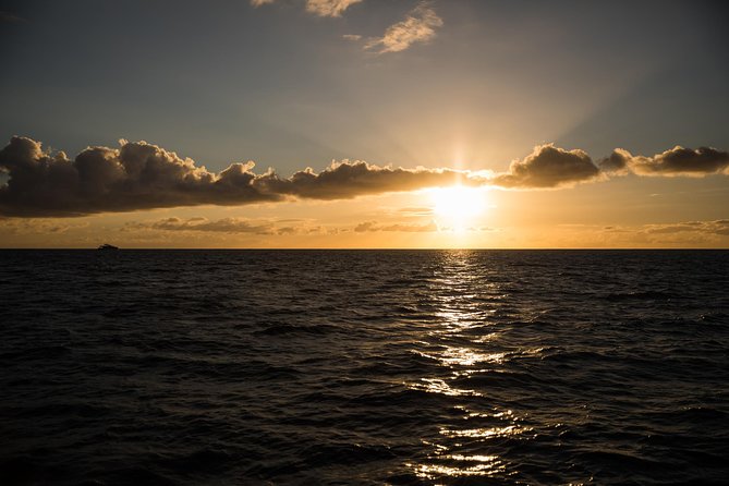 Waikiki Fireworks Dinner Cruise: Sail & Sparkle on Friday Nights - Waikiki from offshore
