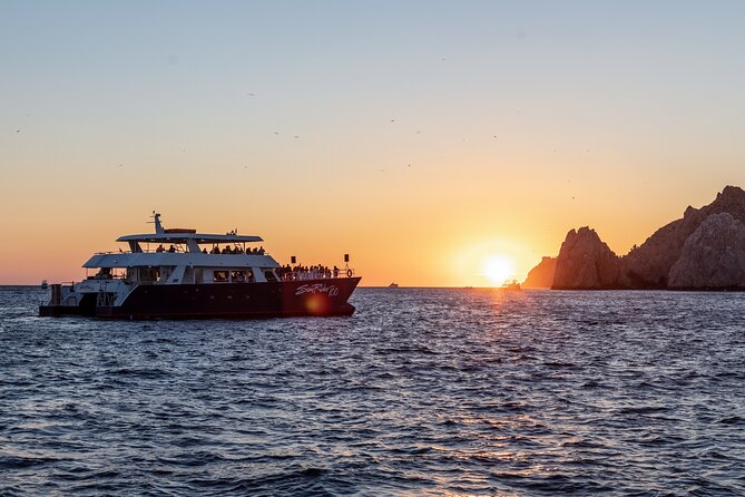 Whale Watching Dinner Cruise in Cabo San Lucas - Practical notes for families, cruise passengers, and wheelchair users